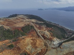 Ramai Netizen Ajak Patungan Beli Hutan, Cegah Deforestasi Makin Parah