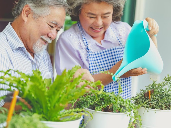 Ilustrasi lansia atau orang tua