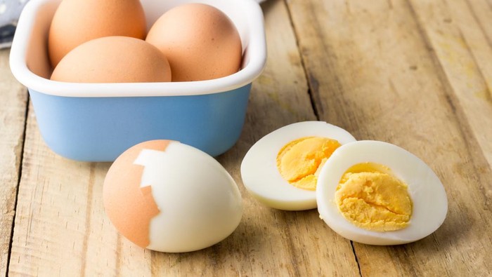 Ilustrasi telur