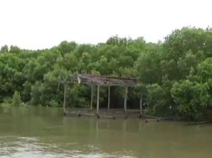 0,8 Ha Laut di Bonto Bahari Maros Tersertifikat SHM, DKP Sulsel Surati BPN