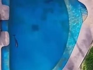 Lumba-lumba di Kolam Resor Mati Saat Pertunjukan, Kepala Membentur Lantai Beton