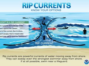 Pakar UGM Beri Saran Jika Terjebak Rip Current dan Cara Mengenalinya di Pantai