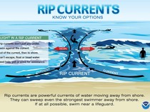Pakar UGM Beri Saran Jika Terjebak Rip Current dan Cara Mengenalinya di Pantai