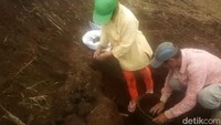 Petani bernama Kariyo (47) yang pertama kali menemukan ribuan koin kuno. Koin diduga mata uang China kuno itu ia temukan saat mencangkul tanah yang akan ditanami kubis di ladang.