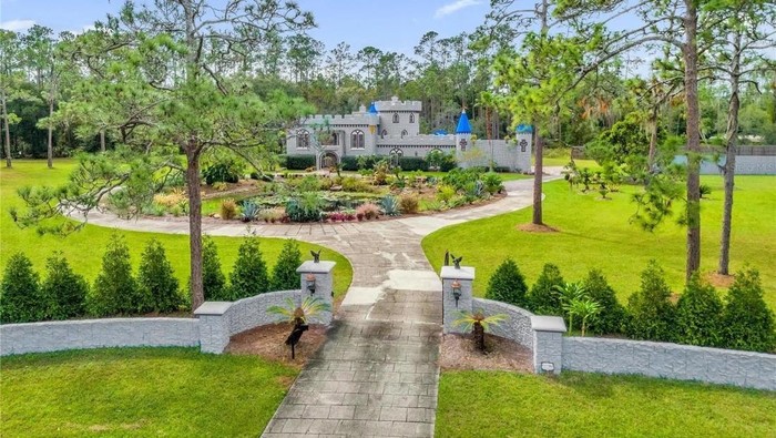 Rumah bak kastil Disney