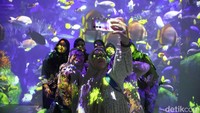 Untuk tiket masuk ke Museum Wayang harganya Rp 10 ribu saat weekdays dan Rp 15 ribu saat weekend. Sedangkan untuk turis asing Rp 50 ribu per orang. Tiket Museum Wayang bisa traveler beli secara On the Spot (OTS).