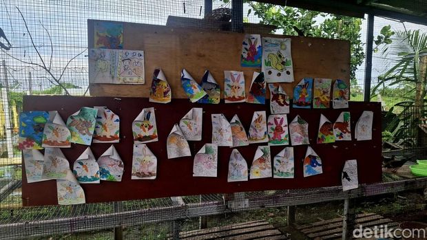 Agrowisata Tupai Emas di Denpasar, Bali, Sabtu (1/2/2025). (Fabiola Dianira/detikBali)