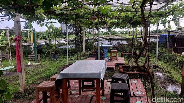 Agrowisata Tupai Emas di Denpasar, Bali, Sabtu (1/2/2025). (Fabiola Dianira/detikBali)