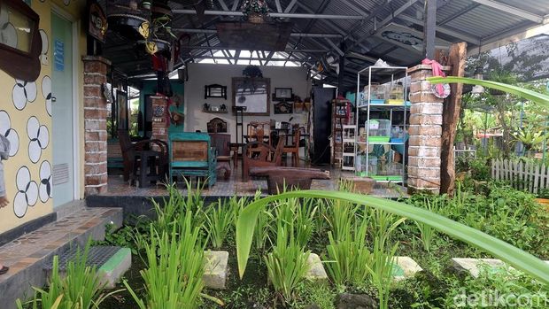 Agrowisata Tupai Emas di Denpasar, Bali, Sabtu (1/2/2025). (Fabiola Dianira/detikBali)