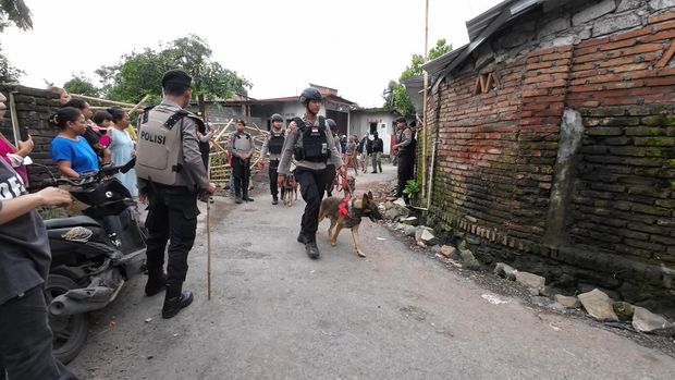 Anjing pelacak atau K9 Polda NTB