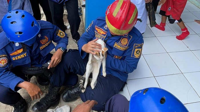 Damkar Bogor lepaskan borgol di leher