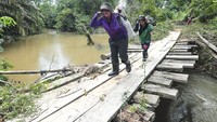 Begini kondisi jalan dan jembatan di desa yang terisolir tersebut. Warga harus menapaki jembatan kayu saat mengangkut hasil bumi.
