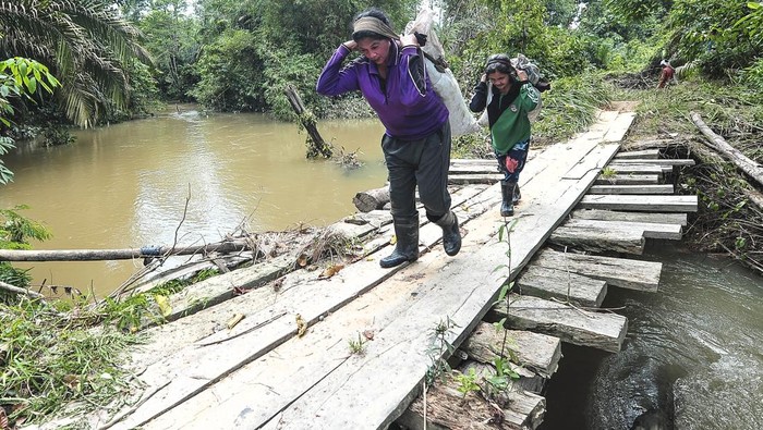 Desa terisolir di Jambi Warga menunjukkan telepon genggam miliknya yang tidak mendapatkan layanan telekomunikasi di rumahnya di Jangga Aur, Batin XXIV, Batanghari, Jambi, Sabtu (1/2/2025). Jangga Aur yang secara geografis berada di wilayah perbukitan dan lembah, serta dihuni mayoritas warga Suku Batin Sembilan dari keturunan Singo Mulyo atau Datuk Lenggang Laut dan merupakan salah satu desa terisolir di kabupaten itu yang belum tersentuh layanan sinyal telekomunikasi. ANTARA FOTO/Wahdi Septiawan/YU