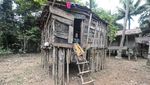 Desa Terisolir di Jambi, Tak Ada Sinyal Telekomunikasi