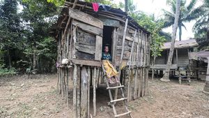 Desa Terisolir di Jambi, Tak Ada Sinyal Telekomunikasi