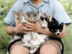 Ada Cerita Mencengangkan di Balik Foto Sejarah Ini