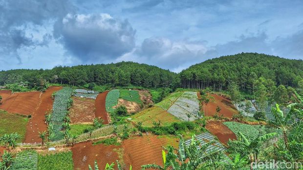 Kondisi lahan di perbukitan Bandung Utara di kawasan Cimenyan, Kabupaten Bandung