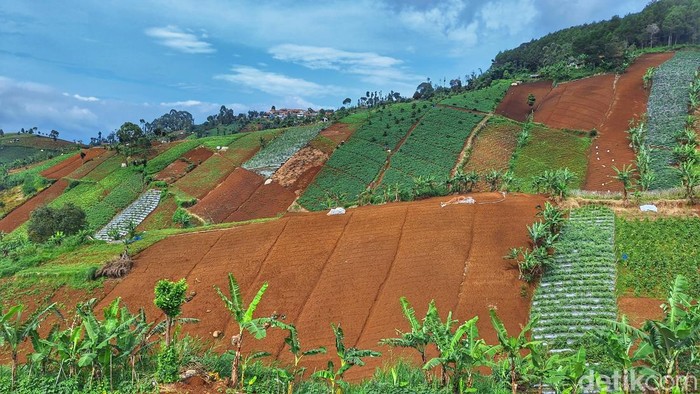 Kondisi lahan di perbukitan Bandung Utara di kawasan Cimenyan, Kabupaten Bandung