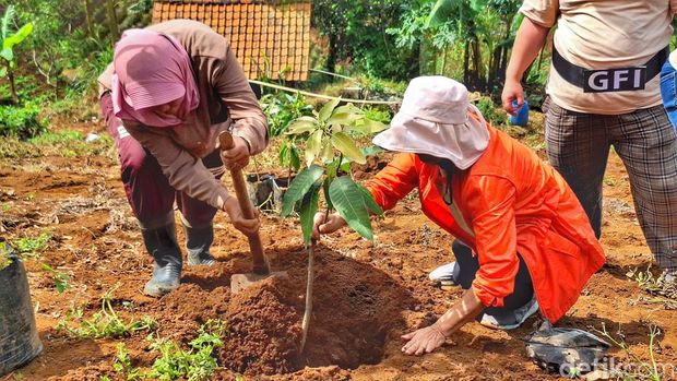 Kondisi lahan di perbukitan Bandung Utara di kawasan Cimenyan, Kabupaten Bandung