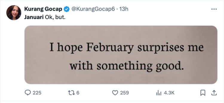 Meme Januari