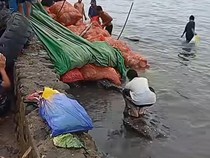 Truk Angkut Sayur di Pelabuhan Parepare Terperosok Usai Serempet Warga