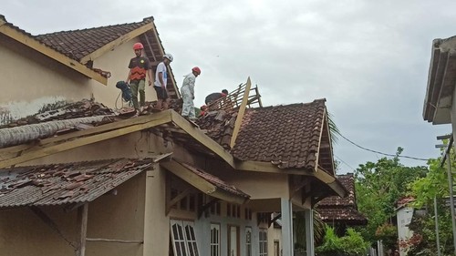 Pembersihan dan evakuasi pohon kelapa roboh di Lombok Timur, Sabtu (1/2/2025). (Dok. Istimewa)
