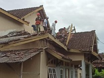 Hujan Angin, Pohon Kelapa Tumbang Timpa Rumah di Lombok Timur