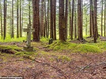 Kondisi Kota Pertambangan yang Hilang: Tersisa Kuburan-Rangka Bangunan