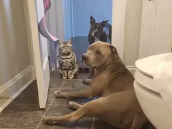 Kumpulan Foto Situasi yang Bakal Bikin Kesal Si Perfeksionis