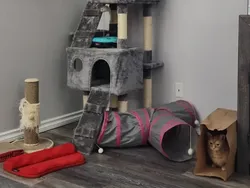 Kumpulan Foto Situasi yang Bakal Bikin Kesal Si Perfeksionis