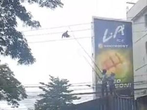 Pria di Makassar Kesetrum Saat Evakuasi Burung Tersangkut di Kabel Listrik
