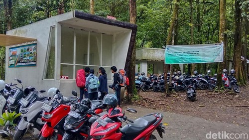 Sejumlah pengunjung melakukan registrasi di loket masuk Savana Propok, Lombok Timur, NTB, Sabtu (1/02/2025). (Foto: Sanusi Ardi W/detikBali)