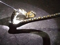 Ular Piton 2,5 Meter Tepergok Merayap Naik Pagar Rumah di Klaten