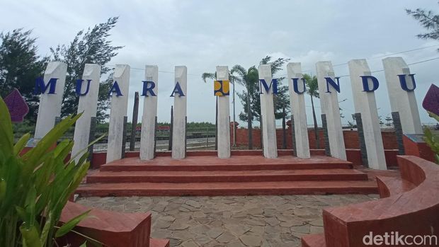 Wisata Mangrove di Cirebon