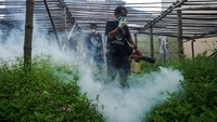 Fogging dilakukan untuk mencegah penyebaran penyakit DBD yang disebabkan oleh gigitan nyamuk aedes aegypti. 