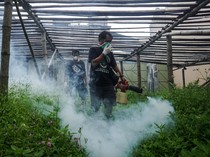 Kabupaten Cirebon Tetapkan Status Waspada KLB DBD