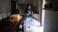 Menurut data Dinas Kesehatan Provinsi Jawa Tengah, pada periode Januari 2025 hingga minggu ketiga tercatat sebanyak 1.239 warga terinfeksi DBD dengan 13 di antaranya meninggal dunia.