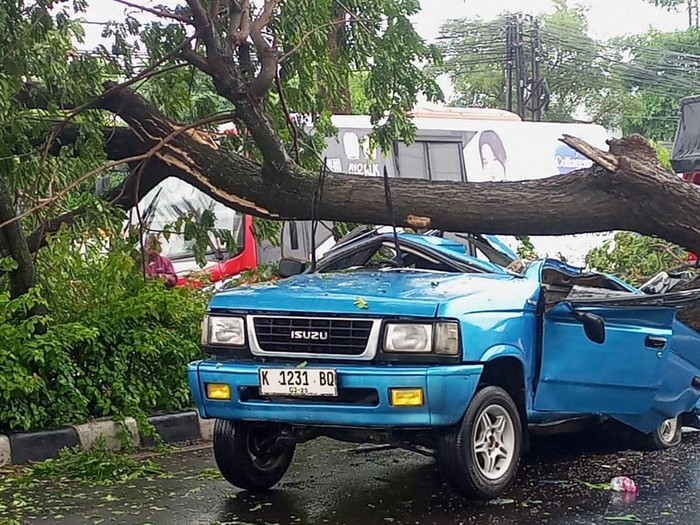 Pohon tumbang menimpa mobil panther di Jalan Kedungpane, Kecamatan Ngaliyan, Kota Semarang, Minggu (2/2/2025).