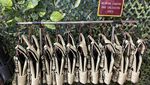 Melepas Stres dengan Main Tembak-tembakan di Akhir Pekan