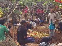 Nenek di Banjarnegara Tewas Diserang Tawon Vespa Saat Cari Bambu