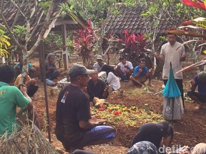 Nenek di Banjarnegara Tewas Diserang Tawon Vespa Saat Cari Bambu