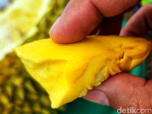 Menikmati Secangkir Kopi dengan Durian Musang King di Kafe Sukabumi