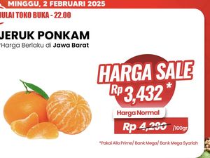 Jeruk Ponkam Diskon Gede-gedean di Transmart Full Day Sale