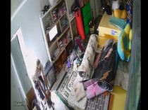 Video CCTV Aksi Pembobolan Toko di Makassar Oleh Seorang Buruh Harian