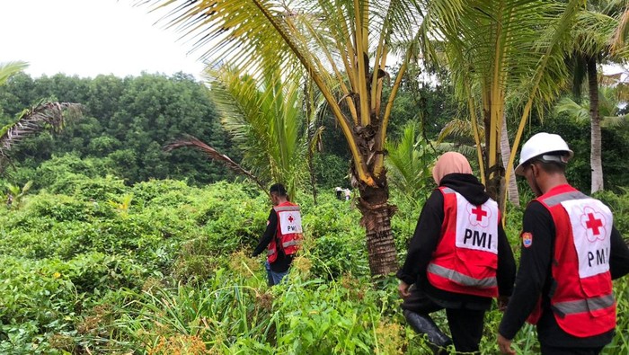 Seorang balita perempuan bernama Hjirah Amdriani (5) di Kabupaten Banggai Laut, Sulawesi Tengah (Sulteng) dilaporkan hilang di dalam hutan.