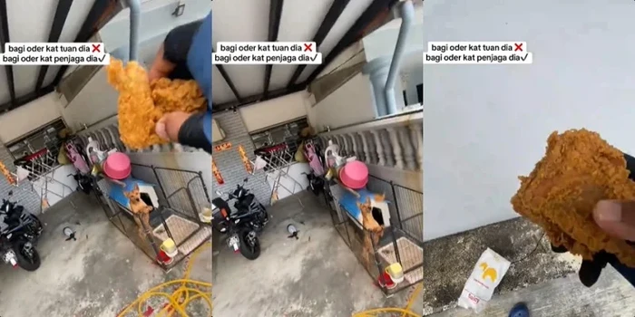 kurir makanan dapat pesanan ayam goreng untuk anjing peliharaan