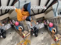 Kurir Makanan Ini Dapat Pesanan Ayam Goreng untuk Anjing Peliharaan