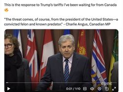 Trump Kenakan Tarif ke Kanada, Netizen Tak Habis Pikir