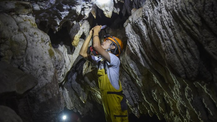 Pemetaan dan pendataan kawasan karst di Tasikmalaya Pegiat susur gua yang tergabung Tasikmalaya Caving Community (TCC) melakukan susur Gua Cikalong di Kabupaten Tasikmalaya, Jawa Barat, Minggu (2/2/2025). Kegiatan pemetaan dan pendataan gua itu dilakukan untuk meneliti ekosistem mikroorganisme di dalam gua yang berada di kawasan karst, dengan memiliki kadar air 7,6 pH (potential hydrogen) dan 132 ppm (part per million) serta total panjang gua mencapai 54 meter. ANTARA FOTO/Adeng Bustomi/nz