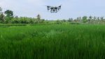 Petani Semprot Sawah Pakai Drone untuk Kurangi Biaya Operasional